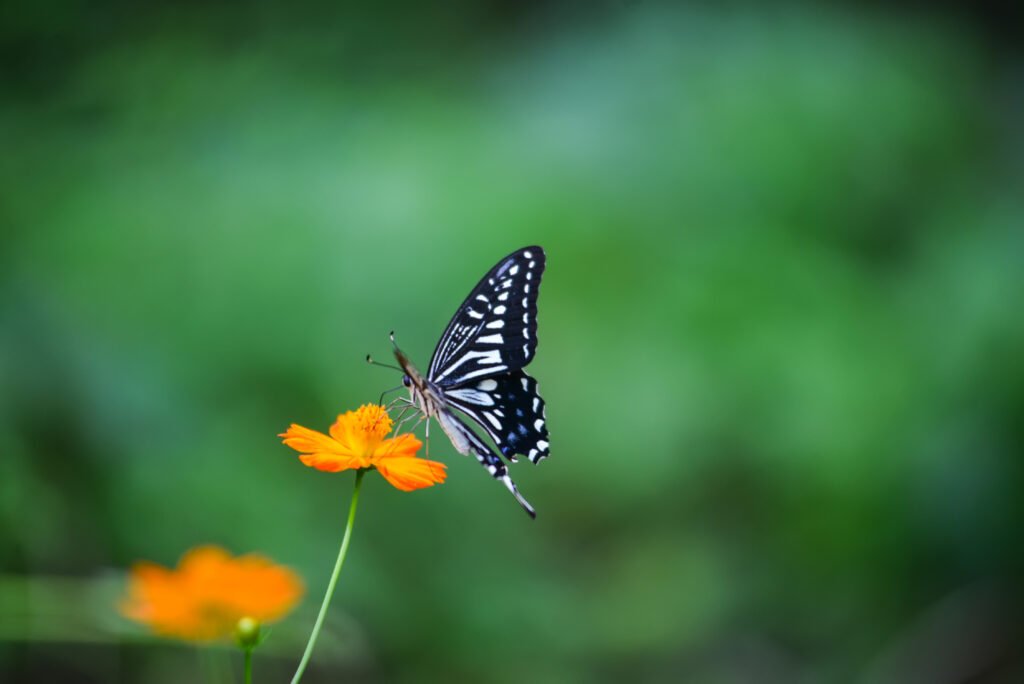test post